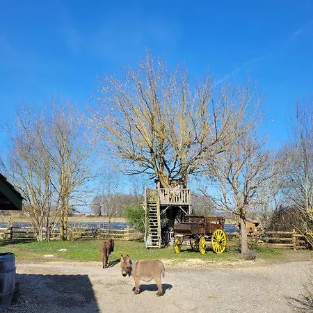 Grande Tente Pionnier Kamp alanı