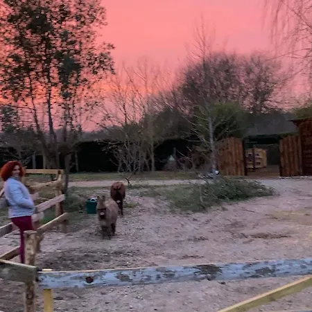 Kamp alanı Grande Tente Pionnier